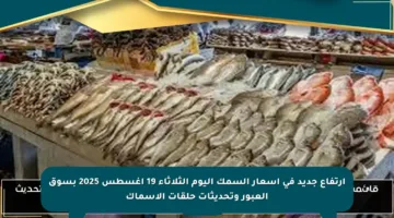 ارتفاع جديد في أسعار السمك اليوم الثلاثاء 19 أغسطس 2025 بسوق العبور وتحديثات حلقات الأسماك